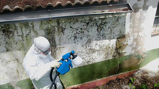 Trusted Mold Inspection service in Allenwood, NJ - Cheap Mold Removal